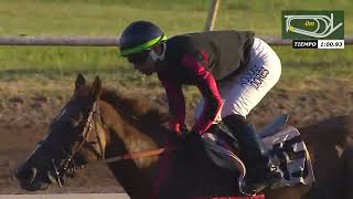 Vidéo de la course PMU PRIX JUMANGI