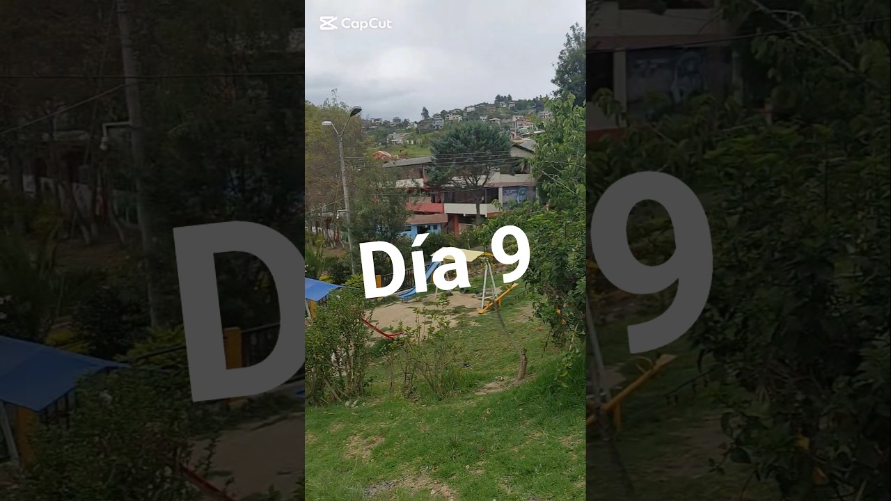 Día 9, último robando carton por el s26 Ultra #s26ultra #smartphone #reciclaje #samsung @Samsung