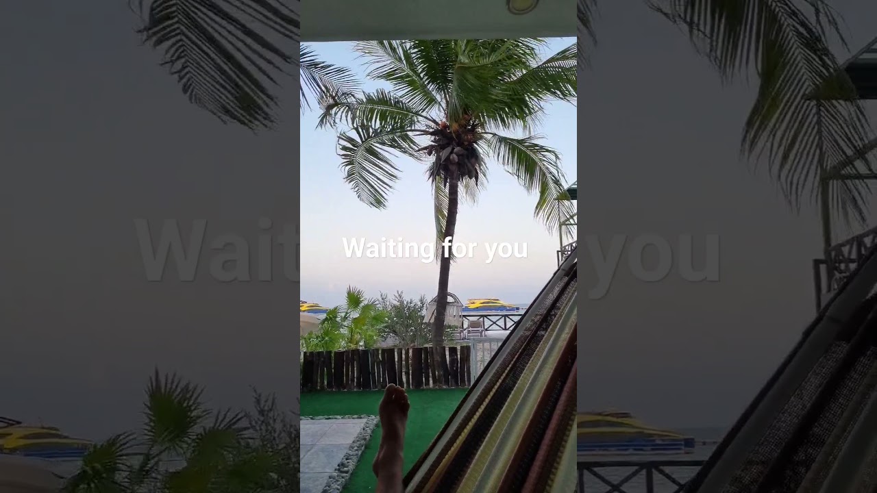 Another day in the paradise 🌴☀️✨️ 