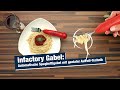 infactory Gabel: Automatische Spaghettigabel mit genialer Aufroll-Technik