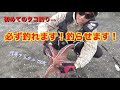 代用タックルでOK！初めてのタコ釣り！