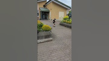 子供　スケボー #オーリー 練習 #skateboard #shorts #kids