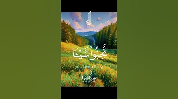 #القرآن_الكريم #سورة_البقرة وعسى ان تكرهو شيئا وهو خيرا لكم#freepalestine #ما_يحدث_في_غزة_خيرا #غزة