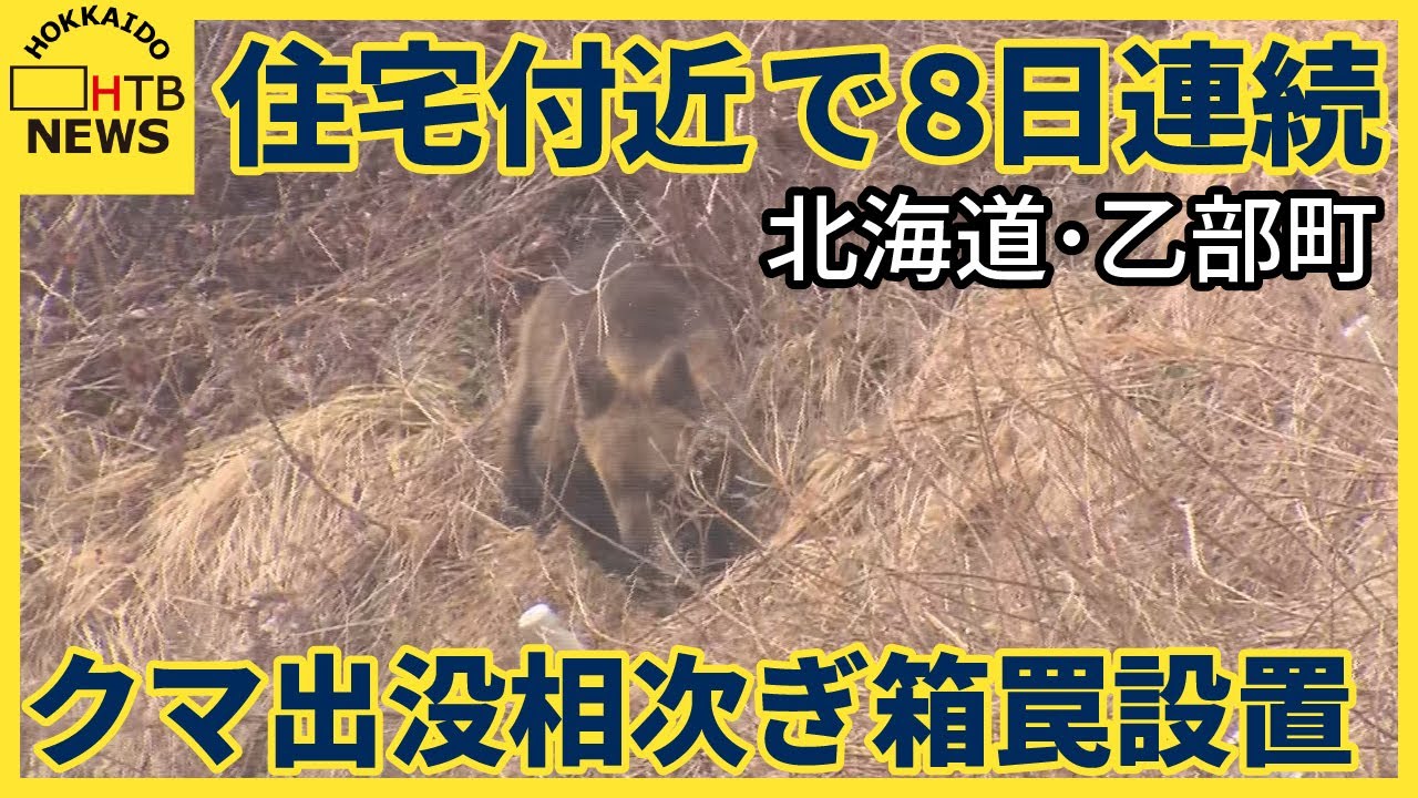 【クマシー@断捨離中 値下げ交渉歓迎】 住宅付近に8日連続のクマ出没 北海道乙部町 町が箱罠2個設置し