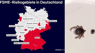 Neue Zecken-Art Im Anmarsch Hyalomma Sind Jäger Ntv