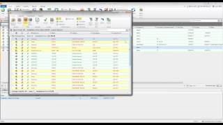 SI 2015 - Working with Project Revisions Webinar