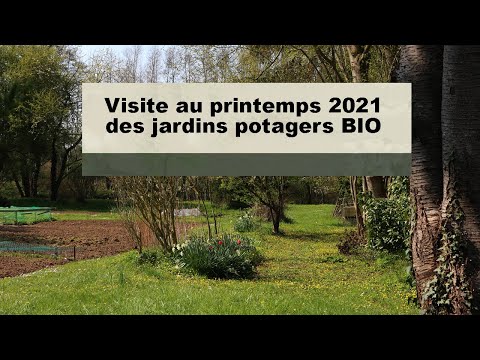 Visite de mes