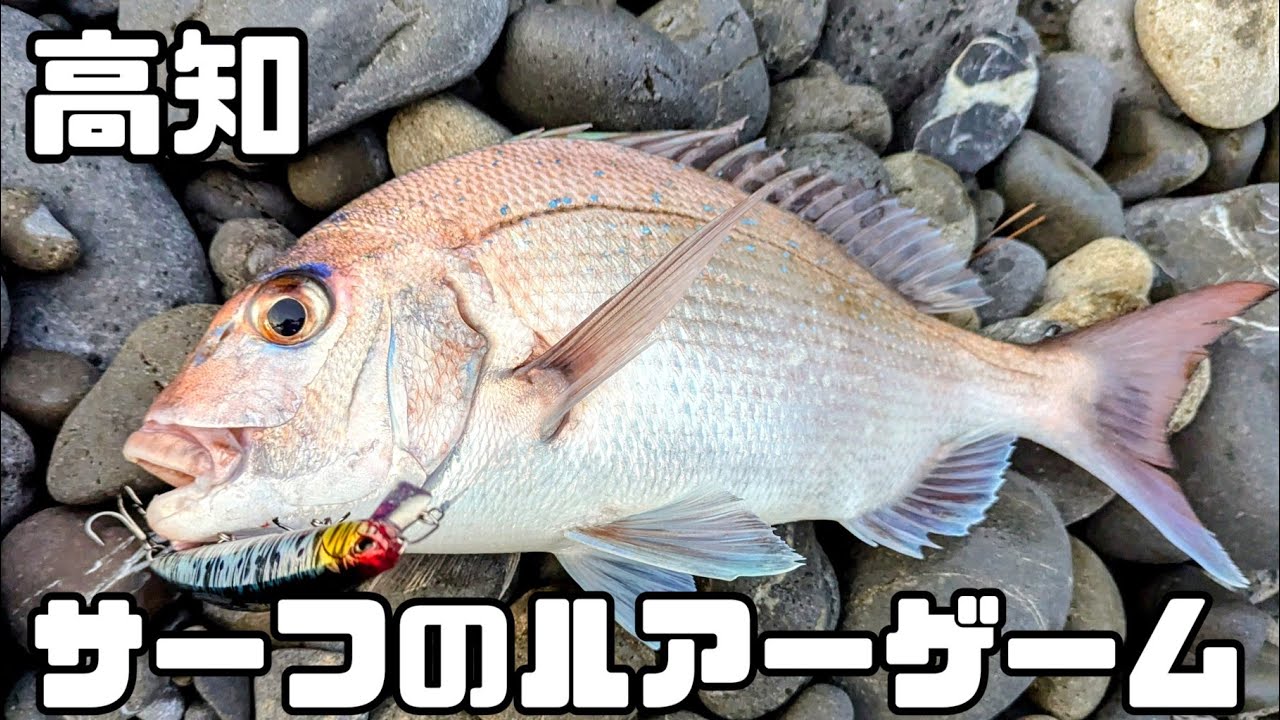 インプレ 23ストラディックC5000XG半年使用！サーフゲームや地磯
