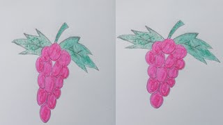 how to draw grapes easy |  grapes drawing step by step @drawing1214