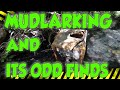 Mudlarking at daisy nook