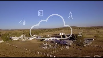 Applying IoT and Data Analytics to Improve Performance