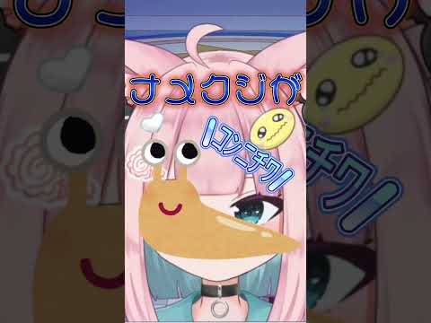 虫さん注意報⚠️ #vtuber #切り抜き #vtuber切り抜き #綿田ねち #shorts #推しをお探しですか
