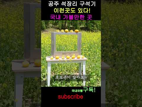 야외나들이하기 좋은 국내관광지 공주 석장리박물관 구석기 축제 하는곳 충남 가볼만한곳 국내여행 # 테이블숏폼 #shorts