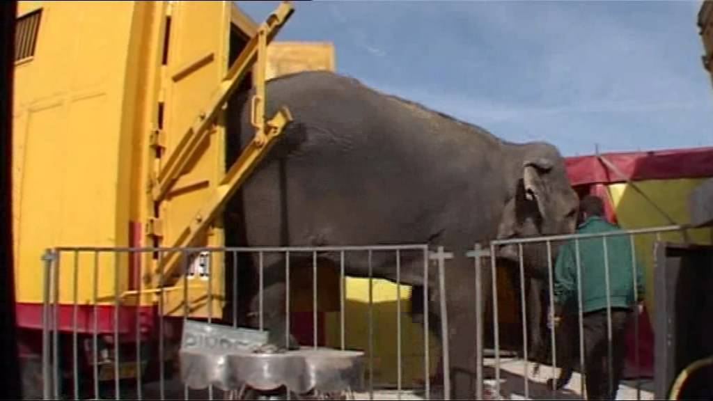 Cirque Pinder-Le Film Bonus 01 Sur la route du Cirque.avi