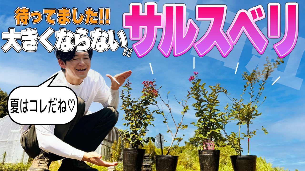 High-spec plant] Enjoy only the delicious parts of the Crape