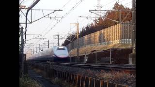 E2系J69編成「Magical Dream Shinkansen」+E3系L53編成　やまびこ１４６＋つばさ１４６