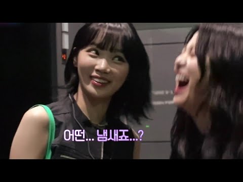 어떤 냄새죠