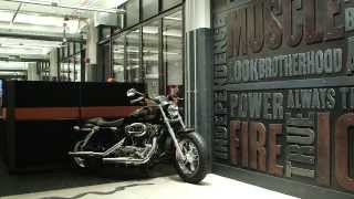 Famous Teknion Case Study: Harley-Davidson Wealth