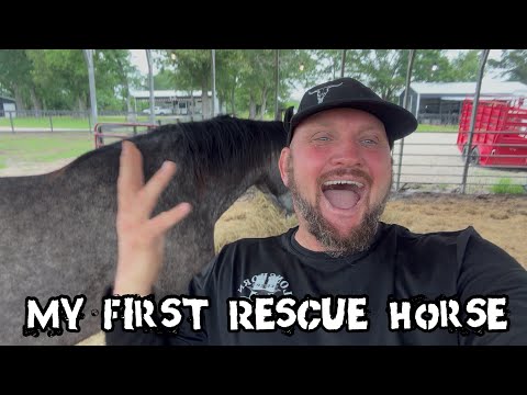 Look What Rescue Horse Rita Did!