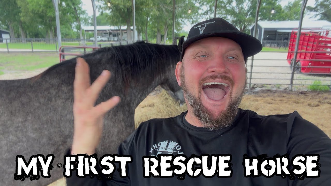 Look What Rescue Horse Rita Did! - YouTube