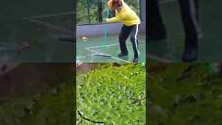 Quadra Molhada-oli natu,Funnypaparazzi