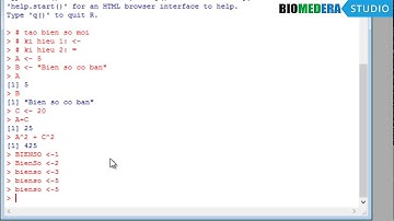 Thiết lập biến số, data set và ma trận trong phần mềm thống kê R [Thống kê căn bản]