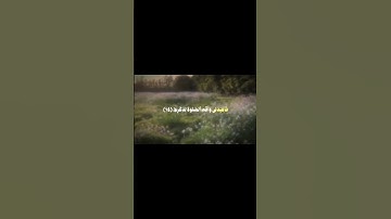 قرآن كريم 🤍،