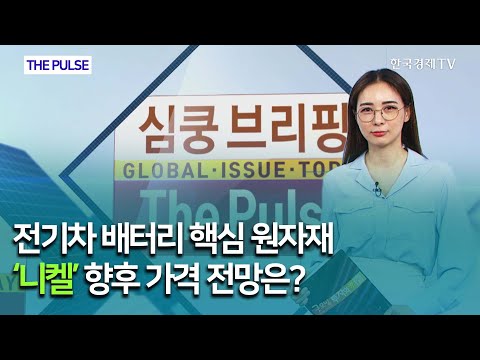 전기차 배터리 핵심 원자재 ‘<strong>니켈</strong>’ 향후 가격 전망은? / THE PULSE  / 한국경제TV