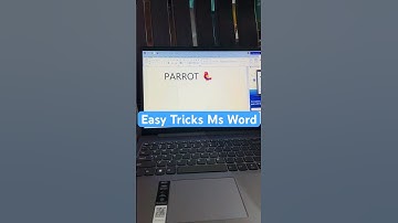 Parrot 🦜 Symbol #msword #mswordtips #mswordtricks #tips #tricks #shortvideo #parrot
