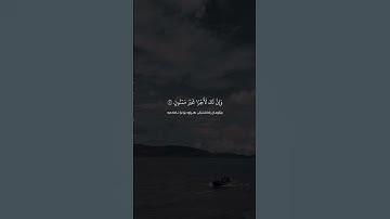 القارئ سالم الرويلي #سورة_القلم