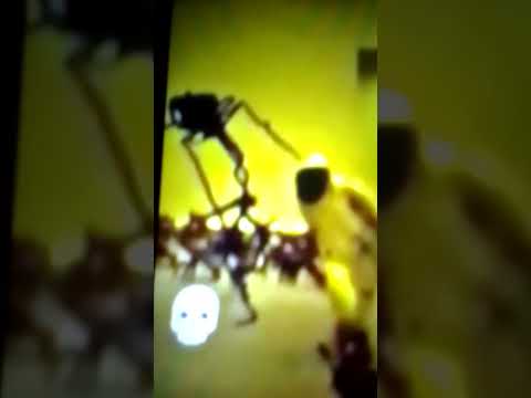 ٥ يونيو ٢٠٢٥