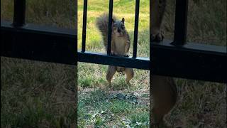 A Random Moment That Warmed My Heart.