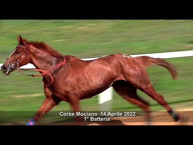 Corse Addestramento Mociano 14 Aprile 2022