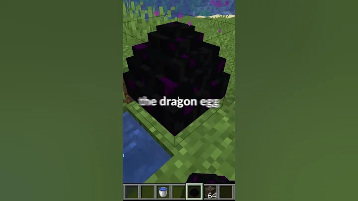 Minecraft dragon egg secret feature...