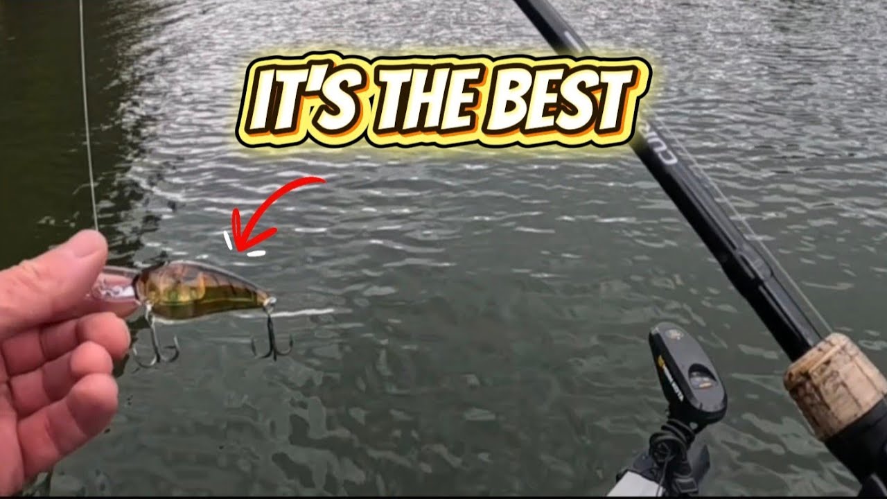 Fall Crankin for Big BASS! (best crankbait and pattern)
