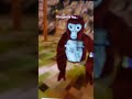 old gorillatag...