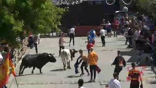 directo toros Almoguera