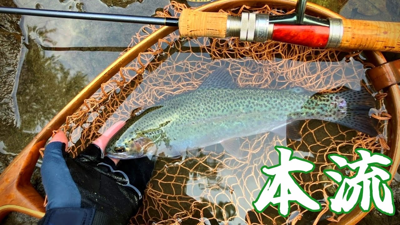 【北海道】渓流のパワーファイター