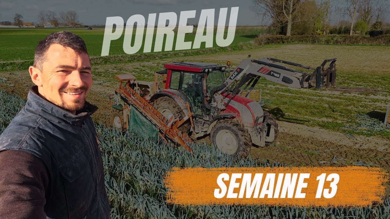 Une semaine 13 dominée par le poireau