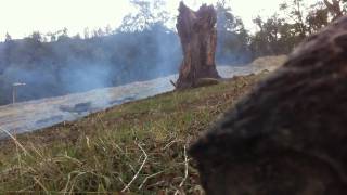 Tannerite vs stump 1.1