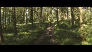 The Forest Chase - Cinematic FPV