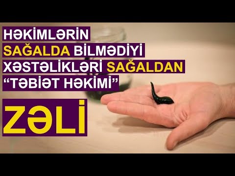 Video: Fərdi sahibkarlar üçün vergi sistemi: ən effektivini necə seçmək olar