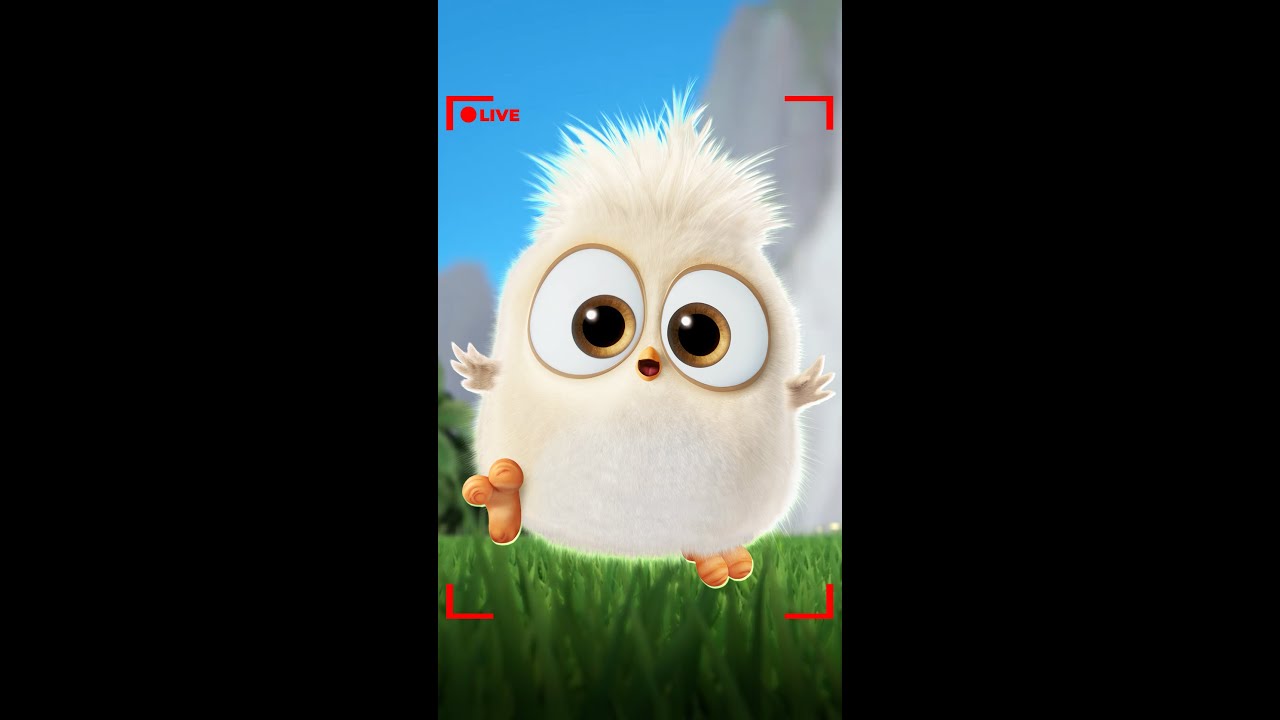 Ultimate Angry Birds Vibes! 🤩❤️‍🔥