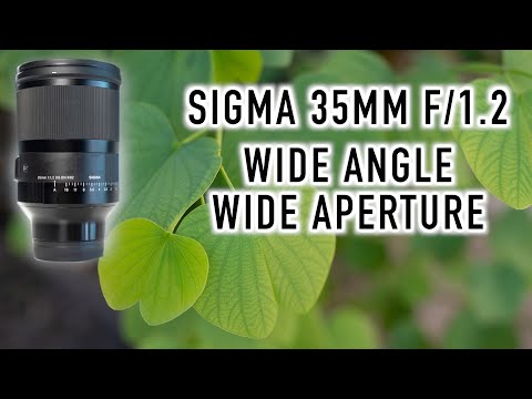 Is the BIG 35mm the BEST 35mm? Sigma 35mm f/1.2 DG DN Art for Sony E and Leica L Review