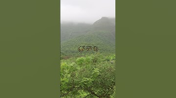 قرآن كريم #قرآن #religion #explore #quran #nature #reels #reelitfeelit