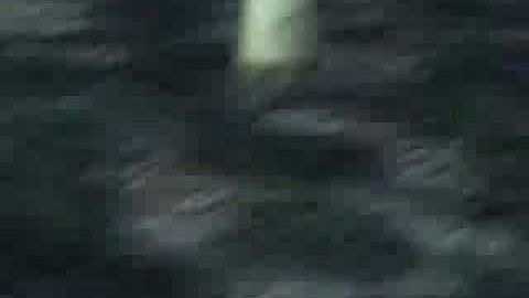 Final Fantasy IX - Evil Forest Cutscene