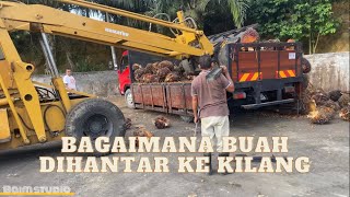 Bagaimana buah sawit dihantar ke kilang sawit #sawit