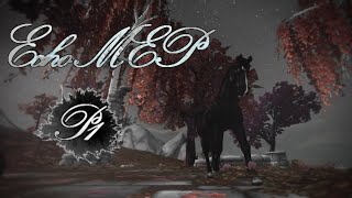 SSO ~ ECHO MEP CLOSED (OPEN For Backups)