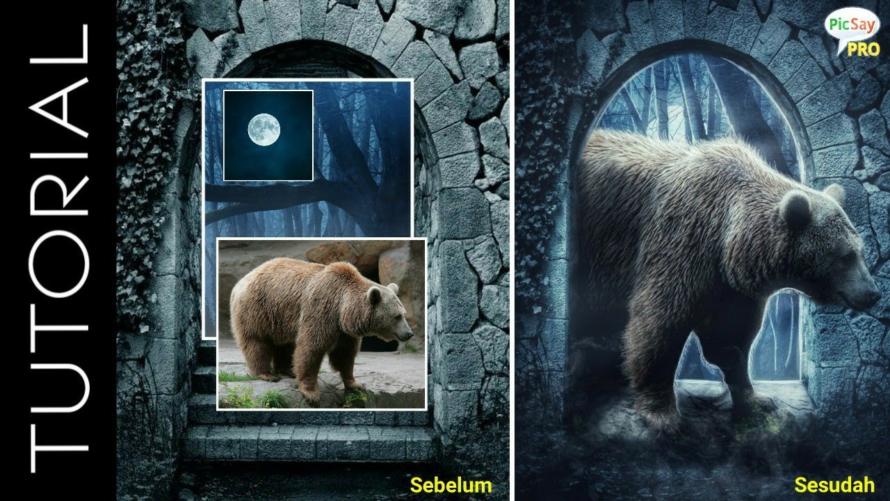 Tutorial manipulasi Picsaypro | How to edit photo Manipulation in Picsaypro | bear in the moonlight