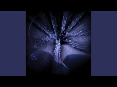 Subp Yao — Hush